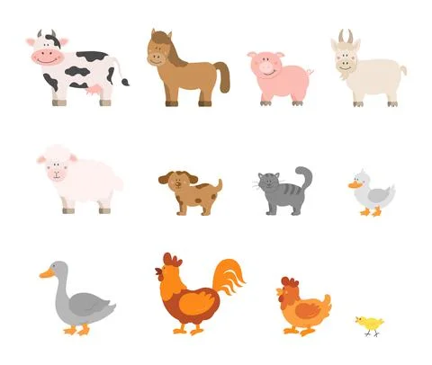 Farm animals Stock Illustration