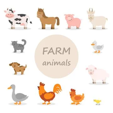 Farm animals Stock Illustration