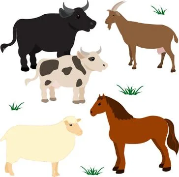 Farm animals set 3 Stock Illustration