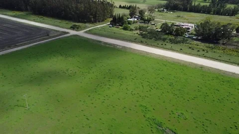 Farm in Argentina 動画素材 162868026