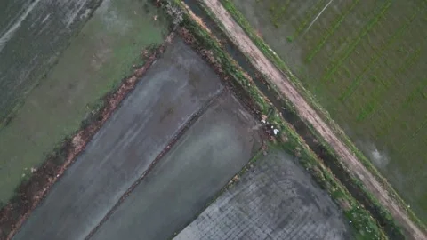 Farm Background Texture 4 K Aerial View 4K Stock Footage 221949106