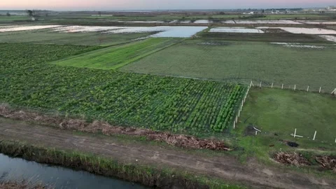 Farm Background Texture 4 K Aerial View 4K Stock Footage 221949301