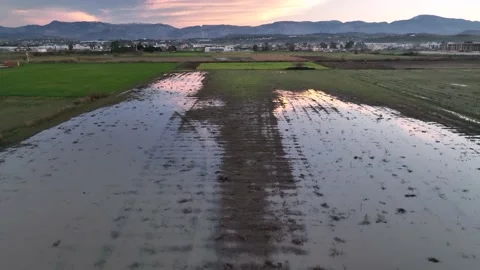 Farm Background Texture 4 K Aerial View 4K Stock Footage 221949504