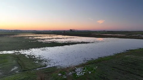 Farm Background Texture 4 K Aerial View 4K Stock Footage 221949528