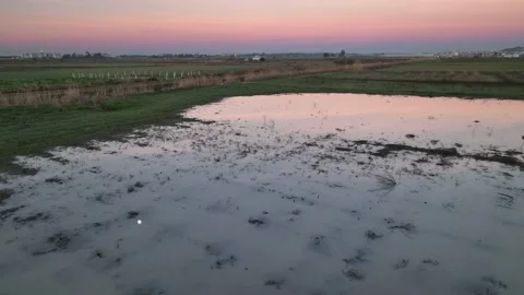 Farm Background Texture 4 K Aerial View 4K Stock Footage 221949560