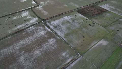 Farm Background Texture 4 K Aerial View 4K Stock Footage 221949844