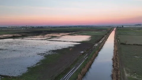 Farm Background Texture 4 K Aerial View 4K Stock Footage 221949905