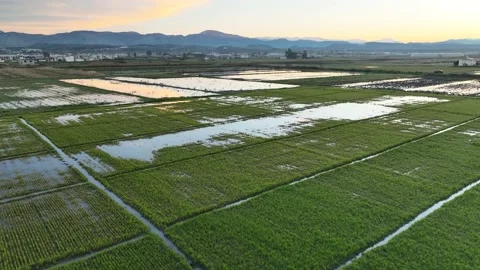 Farm Background Texture 4 K Aerial View 4K Stock Footage 221950183