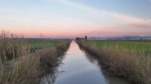 Farm Background Texture 4 K Aerial View 4K Stock Footage 221950216