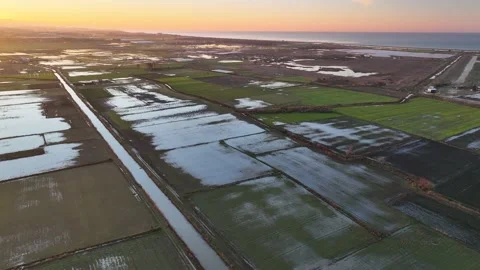 Farm Background Texture 4 K Aerial View 4K Stock Footage 221950218