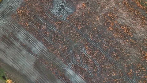 Farm Background Texture 4 K Aerial View 4K Stock Footage 221950471