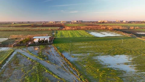 Farm Background Texture 4 K Aerial View 4K Stock Footage 221950548