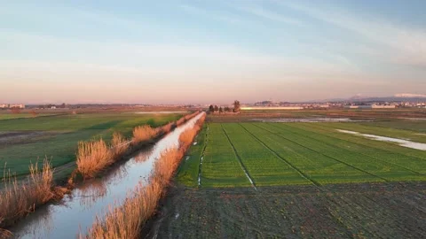 Farm Background Texture 4 K Aerial View 4K Stock Footage 221950577