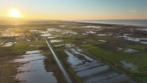 Farm Background Texture 4 K Aerial View 4K Stock Footage 221951271