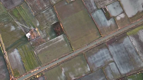 Farm Background Texture 4 K Aerial View 4K Stock Footage 221951435