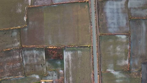 Farm Background Texture 4 K Aerial View 4K Stock Footage 221952345