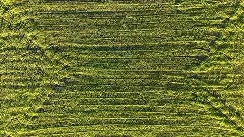 Farm Background Texture 4 K Aerial View 4K Stock Footage 221953729