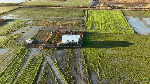 Farm Background Texture 4 K Aerial View 4K Stock Footage 221953741