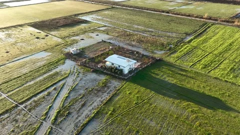 Farm Background Texture 4 K Aerial View 4K Stock-Footage 221953780