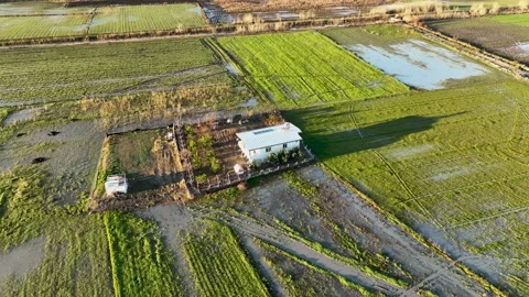 Farm Background Texture 4 K Aerial View 4K Stock Footage 221953809