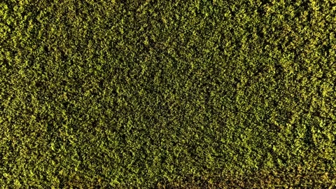 Farm Background Texture 4 K Aerial View 4K Vidéo 221954121