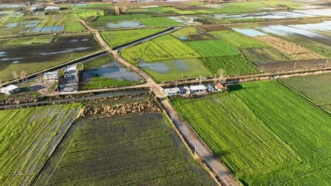 Farm Background Texture 4 K Aerial View 4K Stock Footage 221954210