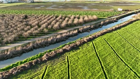Farm Background Texture 4 K Aerial View 4K Stock-Footage 221954391