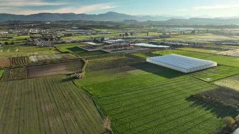 Farm Background Texture 4 K Aerial View 4K Stock Footage 221954420