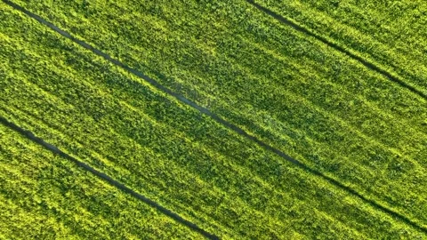 Farm Background Texture 4 K Aerial View 4K Stock Footage 221954466