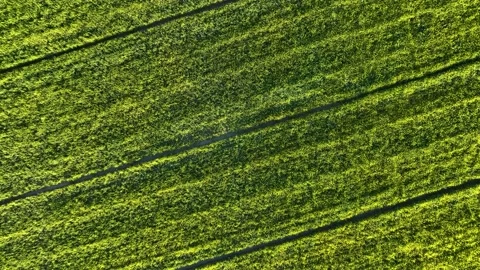 Farm Background Texture 4 K Aerial View 4K Stock Footage 221954471