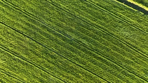 Farm Background Texture 4 K Aerial View 4K Stock Footage 221954524