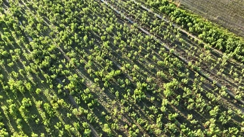 Farm Background Texture 4 K Aerial View 4K Stock Footage 221954531