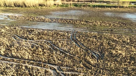 Farm Background Texture 4 K Aerial View 4K Stock Footage 221954739