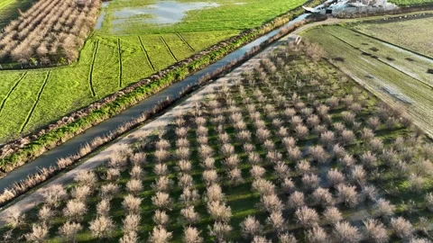 Farm Background Texture 4 K Aerial View 4K Stock Footage 221954817
