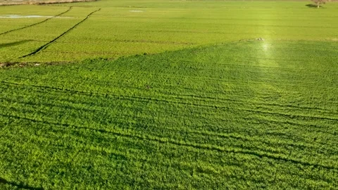 Farm Background Texture 4 K Aerial View 4K Stock Footage 221954860