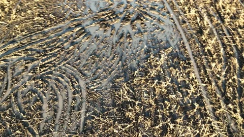 Farm Background Texture 4 K Aerial View 4K Stock Footage 221954881