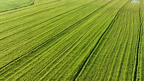 Farm Background Texture 4 K Aerial View 4K Stock Footage 221954912