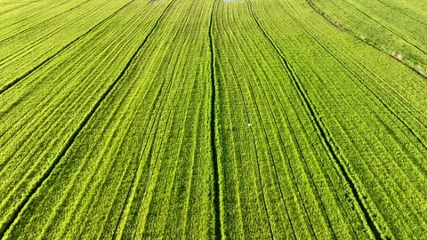 Farm Background Texture 4 K Aerial View 4K Stock Footage 221954924