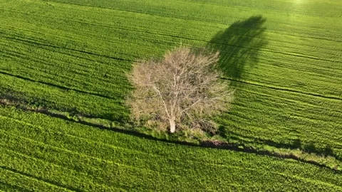 Farm Background Texture 4 K Aerial View 4K Stock Footage 221954934