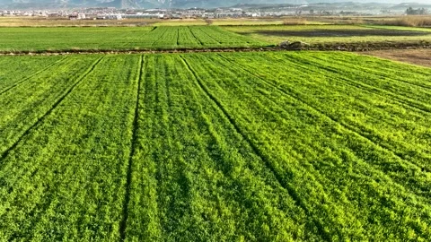 Farm Background Texture 4 K Aerial View 4K Stock-Footage 221954944