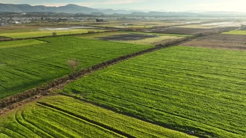 Farm Background Texture 4 K Aerial View 4K Stock Footage 221955007