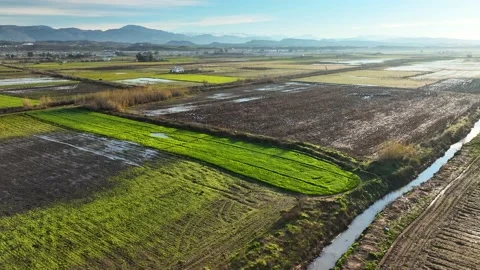 Farm Background Texture 4 K Aerial View 4K Stock Footage 221955073