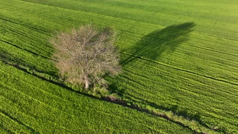 Farm Background Texture 4 K Aerial View 4K Stock Footage 221955082