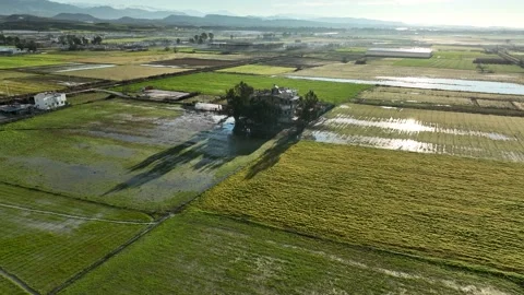 Farm Background Texture 4 K Aerial View 4K Stock Footage 221955085