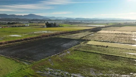 Farm Background Texture 4 K Aerial View 4K Stock Footage 221955173