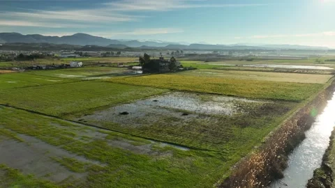 Farm Background Texture 4 K Aerial View 4K Stock Footage 221955352