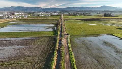 Farm Background Texture 4 K Aerial View 4K Stock Footage 221955362