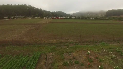 Farm Barn &amp; Crop Field Rows under Fog - Aerial Drone Stock Footage 71190241