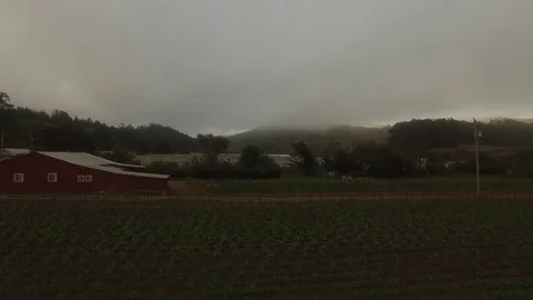 Farm Barn &amp; Crop Field Rows under Fog - Aerial Drone Stock Footage 71190826