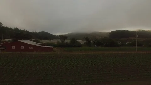 Farm Barn &amp; Crop Field Rows under Fog - Aerial Drone Stock Footage 71191043